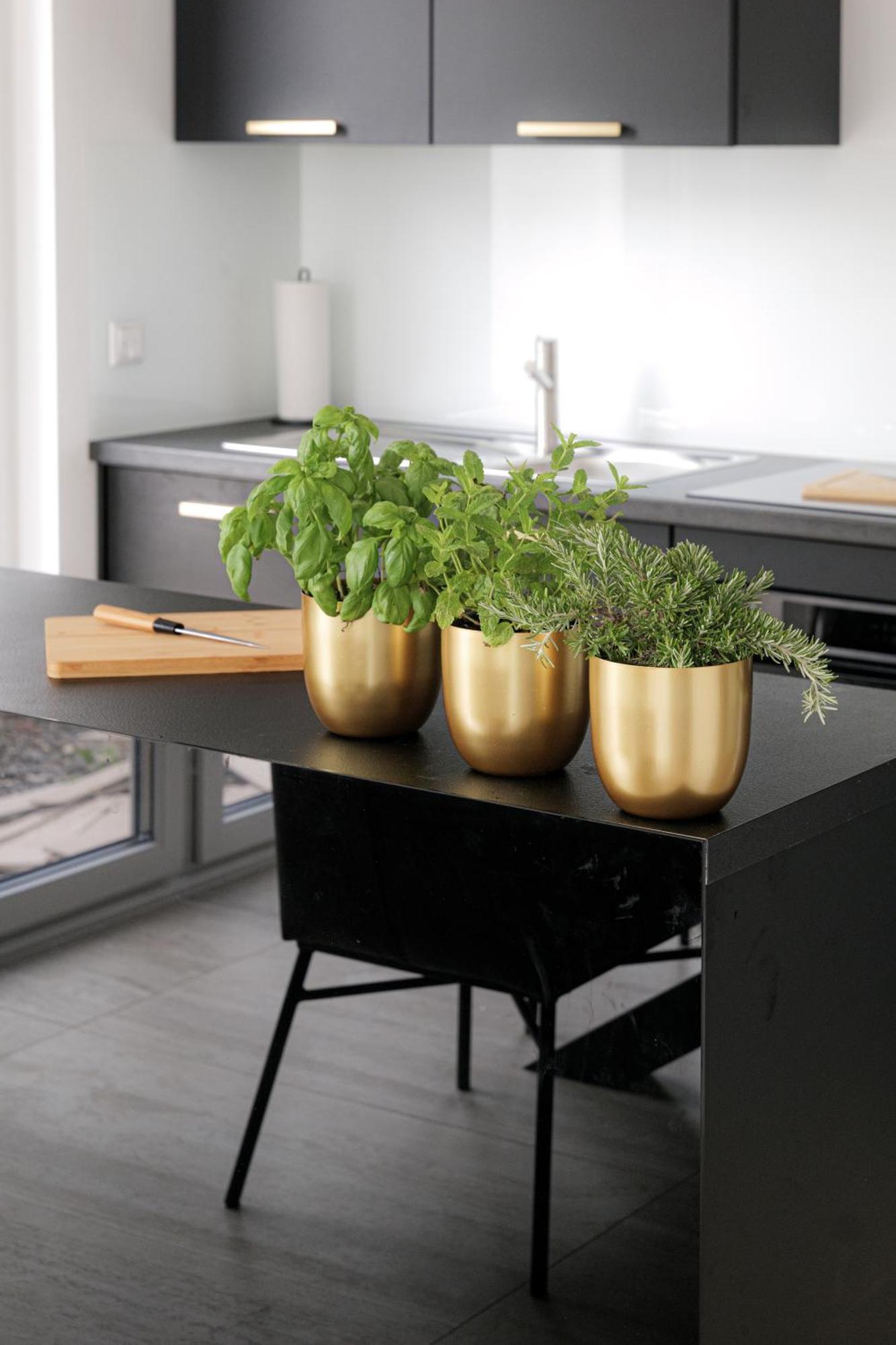 Lulex IV - Traumwohnung Terasse Garten In 诺伊斯 外观 照片