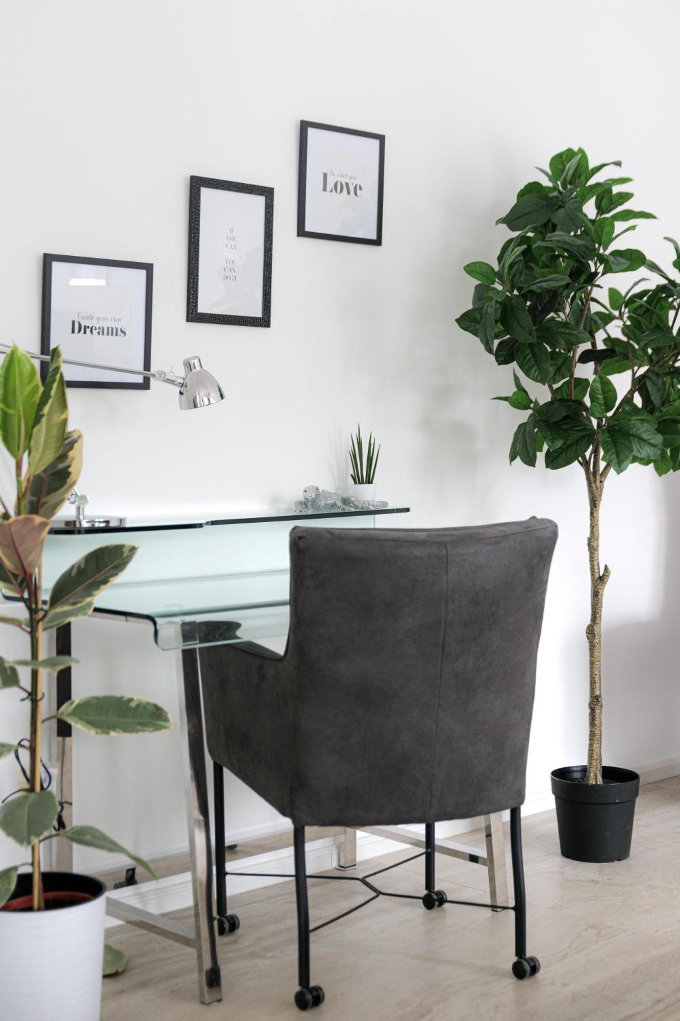 Lulex IV - Traumwohnung Terasse Garten In 诺伊斯 外观 照片